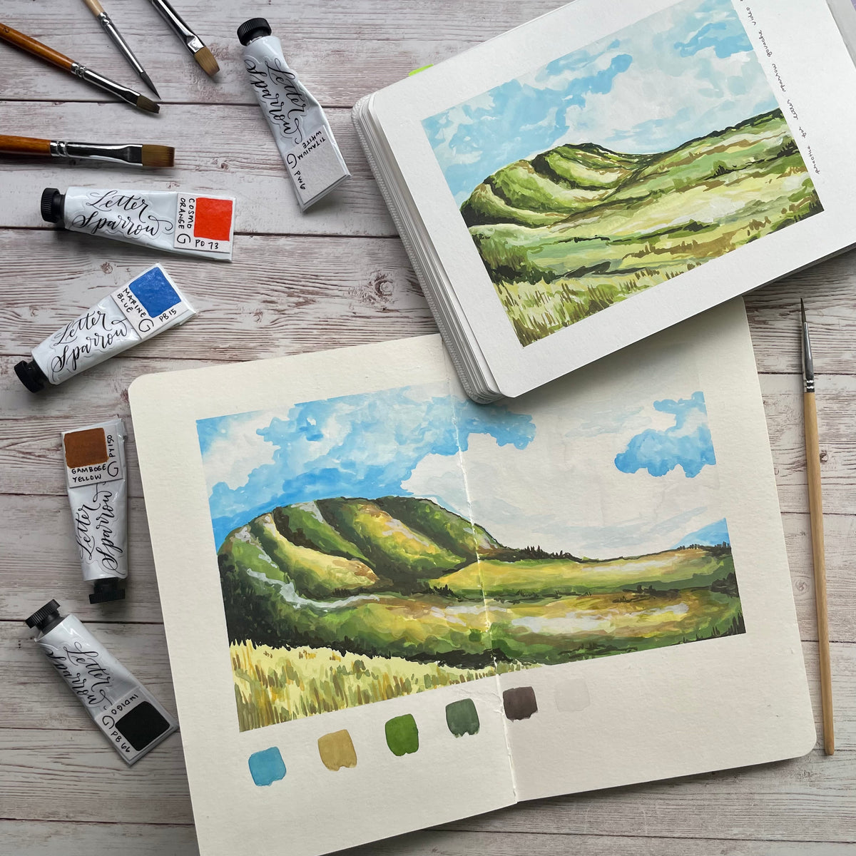 Virtual Lesson - Gouache landscape – Documented Journey