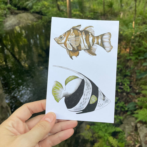 March 2025 - postcard