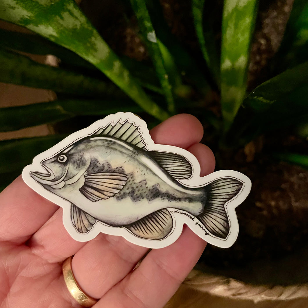 Fish - Vinyl Sticker