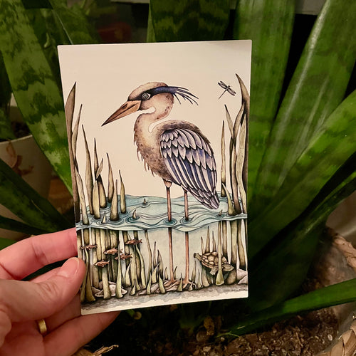 Blue Heron and Friends - postcard