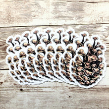 Load image into Gallery viewer, Pinecone - Vinyl Sticker (W)