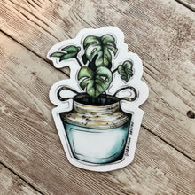 Load image into Gallery viewer, Monstera House Plant - Vinyl Sticker (W)
