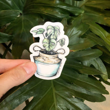 Load image into Gallery viewer, Monstera House Plant - Vinyl Sticker (W)