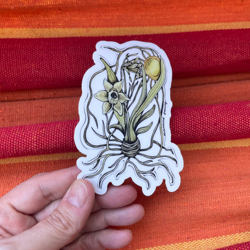 Daffodil - Vinyl Sticker