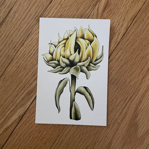 Sunflower - postcard