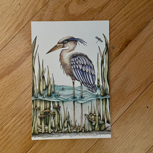 Blue Heron - postcard