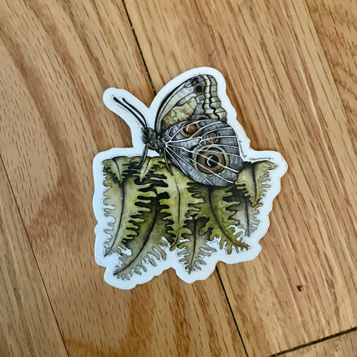 Owl Moth - Vinyl Sticker