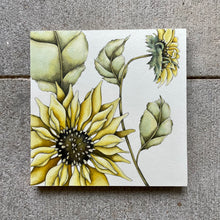 Load image into Gallery viewer, Sunflower Originals