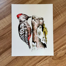 Load image into Gallery viewer, Woodpecker Art Print (W)