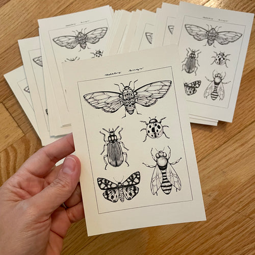 Sketchy bugs - postcard