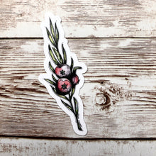 Load image into Gallery viewer, Winter Berry - Vinyl Sticker (W)