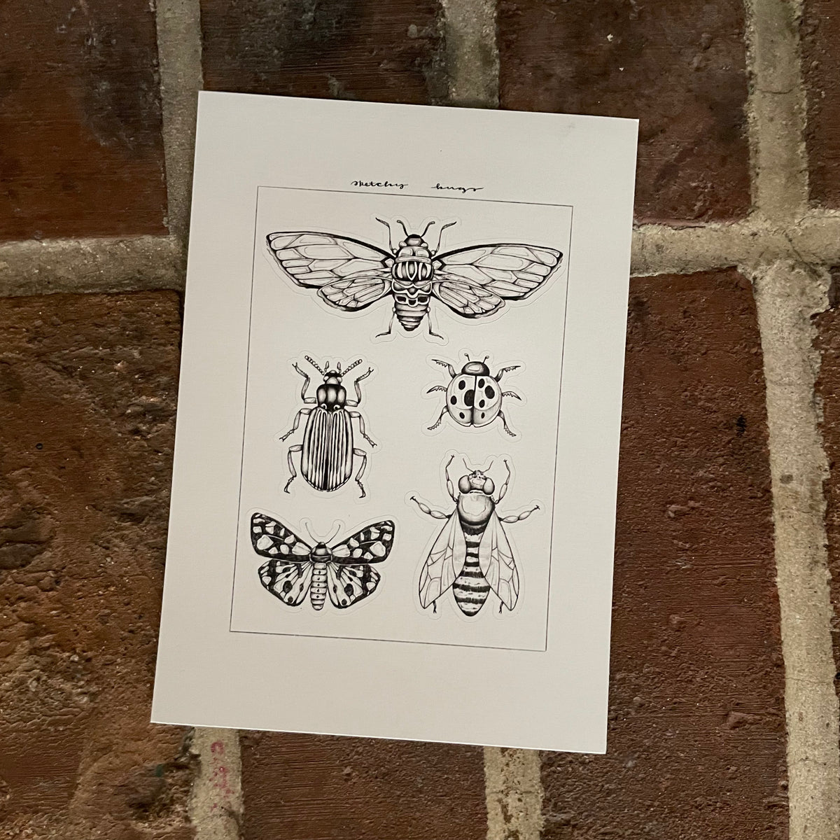 Bug - Eco-Friendly Sticker Sheet – Documented Journey