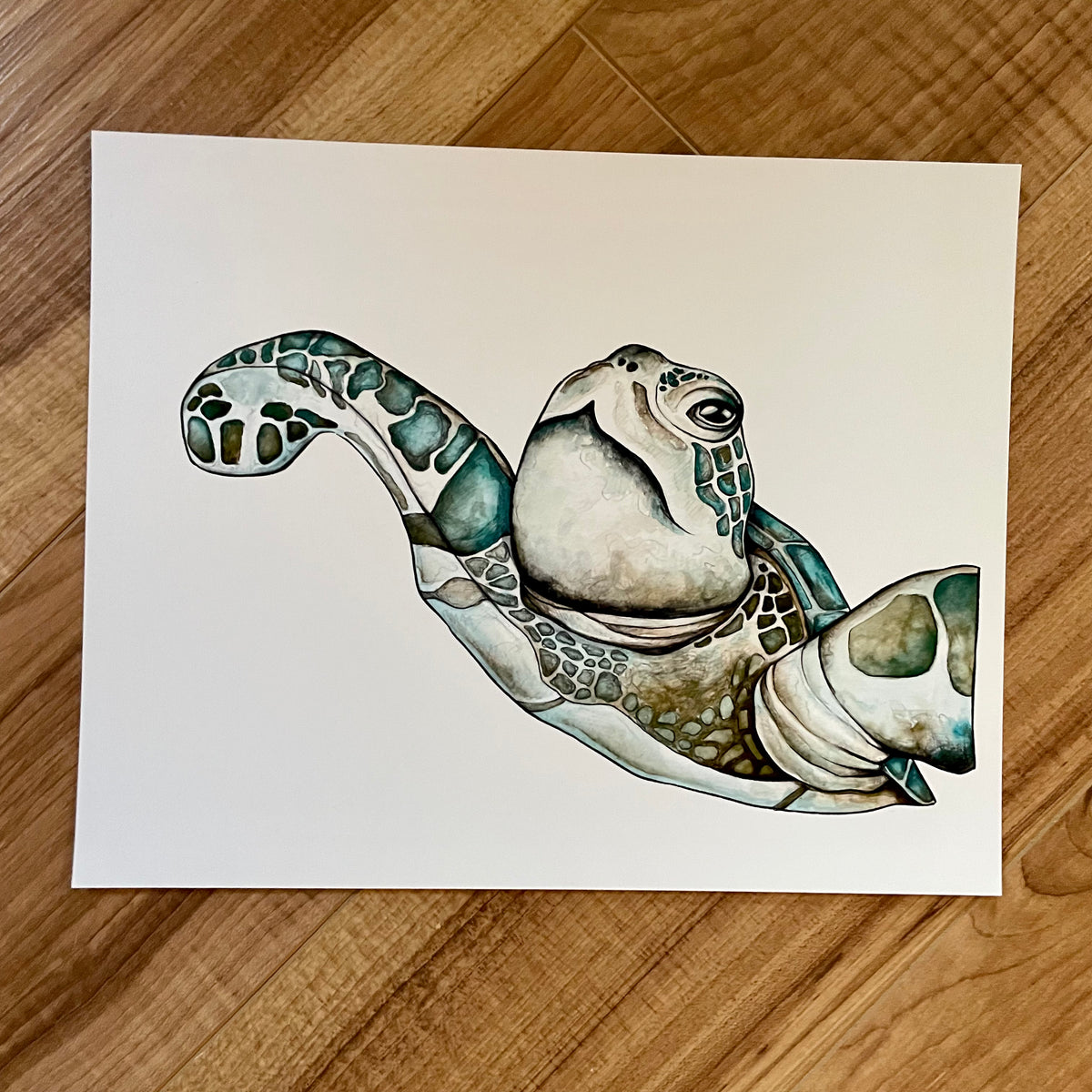 Sea Turtle Art Print – Documented Journey